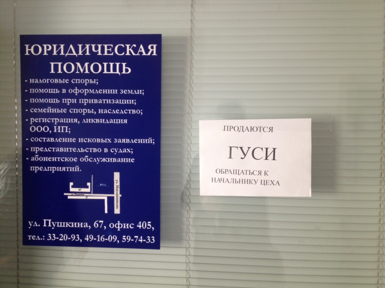 Сижу на работе и думаю где денег заработать